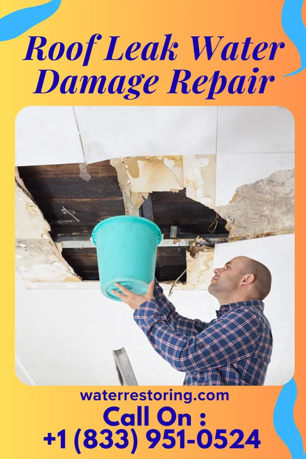 Roof Leak Water Damage Repair in Dilley, OR